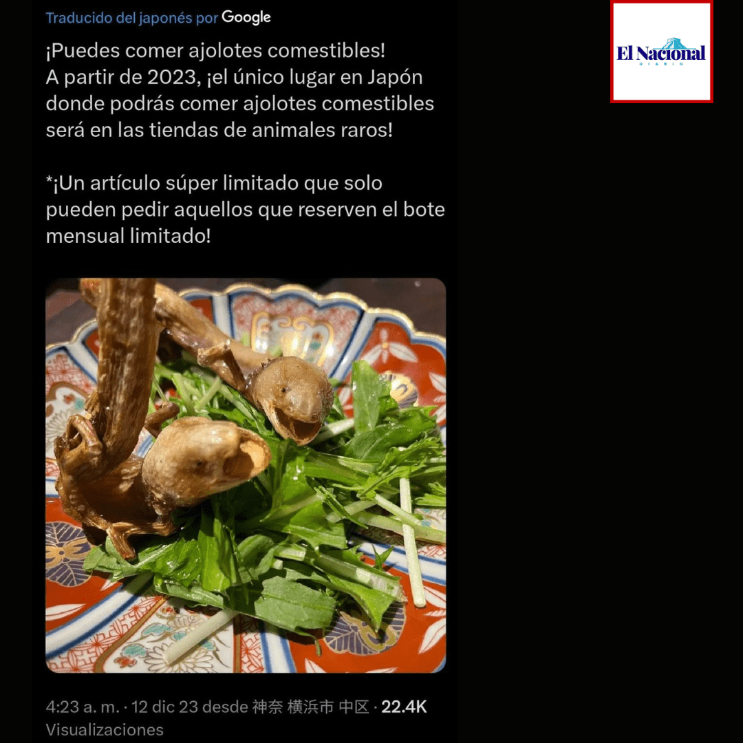 Kareli Ruiz presume el superdeportivo que compró para su cumpleaños 